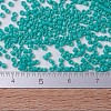 MIYUKI Delica Beads SEED-J020-DB0729-4