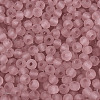 FGB Frosted Transparent Glass Seed Beads SEED-N013-04A-06-3