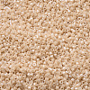 MIYUKI Delica Beads X-SEED-J020-DB0205-3