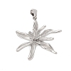 304 Stainless Steel Pendants STAS-Q349-01D-P-1