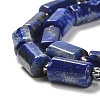 Natural Lapis Lazuli Beads Strands G-N327-06-13-4