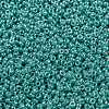 MIYUKI Round Rocailles Beads X-SEED-G009-RR0435-3