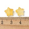 Frosted Acrylic Charms OACR-M023-04K-3