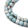 Natural Larimar Beads Strands G-F803-C01-03-4