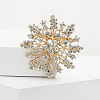 Alloy and Clear Glass Rhinestone Christmas Snowflake Brooch for Women PW-WG5C554-01-2