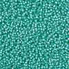 MIYUKI Round Rocailles Beads SEED-JP0009-RR0571-3