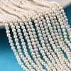 Natural Cultured Freshwater Pearl Beads Strands PEAR-L034-14A-2