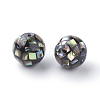 Natural Paua Shell Beads X-SSHEL-Q298-10mm-09-2