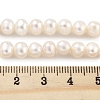 Natural Cultured Freshwater Pearl Beads Strands PEAR-C003-13F-X-5