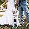 Cotton Dog's Kerchief AJEW-WH0503-091-7