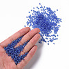 8/0 Glass Seed Beads SEED-A006-3mm-106-4