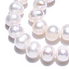 Natural Cultured Freshwater Pearl Beads Strands PEAR-N013-08F-5