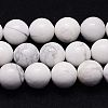 Natural Howlite Beads Strands TURQ-G090-10mm-1