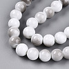 Baking Paint Glass Beads Strands DGLA-N013-10mm-01-3