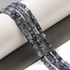 Natural Blue Spot Jasper Beads Strands G-N342-82-2
