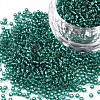 12/0 Grade A Round Glass Seed Beads SEED-Q007-F51-1