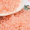 Ceylon Glass Seed Beads SEED-K009-02B-43-1