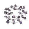Electroplate Raw Rough Natural Amethyst Beads Strands G-Q610-06D-3