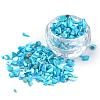 Natural Sea Shell Beads SSHEL-Q299-017A-1