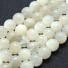 Natural White Moonstone Beads Strands G-P342-02A-10mm-A--1