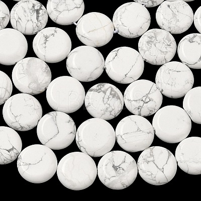 Natural Howlite Beads Strands G-L648-B17-15mm-1