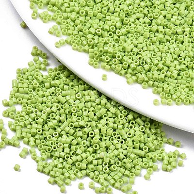 FGB 11/0 Grade A Glass Seed Beads SEED-S030-1013-1