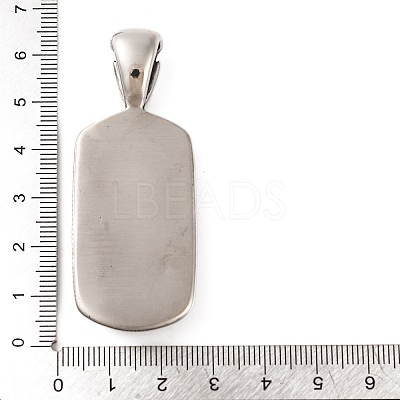 316 Surgical Stainless Steel Big Pendants STAS-Z073-56AS-02-1