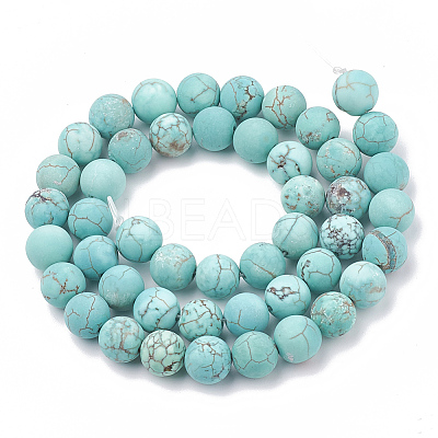 Natural Magnesite Beads Strands G-T106-185-1-1