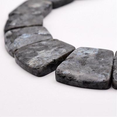 Natural Larvikite Graduated Bead Strands G-P296-F01-1