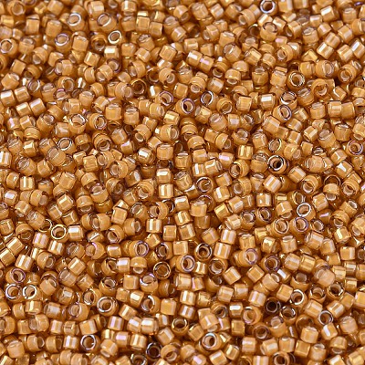 MIYUKI Delica Beads SEED-X0054-DB1778-1