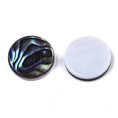 Natural Abalone Shell/Paua Shell Cabochons SSHEL-N034-72A-01-1