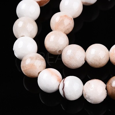 Natural Persian Jade Beads Strands G-A255-A02-01K-1