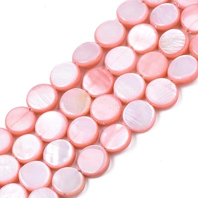 Freshwater Shell Beads Strands SHEL-T009-B16-02-1