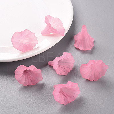Transparent Acrylic Beads BSF796-C10-1