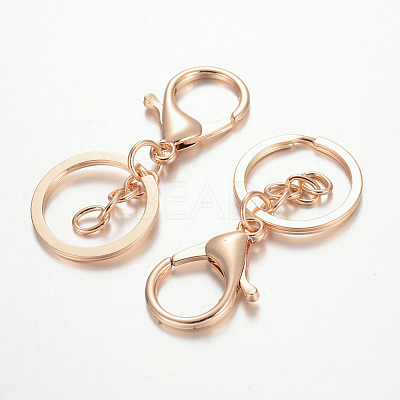 Iron Keychain Clasp Findings PALLOY-J682-03KCG-1