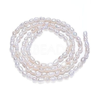 Natural Cultured Freshwater Pearl Beads Strands PEAR-N012-02J-1
