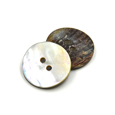 Abalone Shell/Paua Shell BSHE-I011-04A-1
