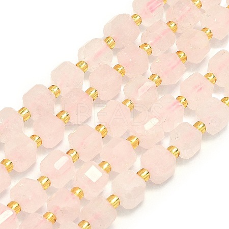 Natural Rose Quartz Beads Strand G-I376-D42-01-1