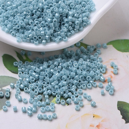 MIYUKI Delica Beads X-SEED-J020-DB0217-1
