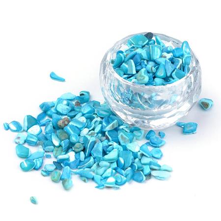 Natural Sea Shell Beads SSHEL-Q299-017A-1