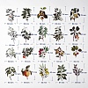 Plant Theme Waterproof Self Adhesive Stamping Stickers Sets X-DIY-WH0163-08B-3