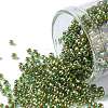TOHO Round Seed Beads SEED-XTR11-1007-1