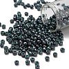 TOHO 6/0 Round Beads SEED-XTR06-1207-1