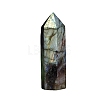 Point Tower Natural Labradorite Healing Stone Wands PW-WG88898-01-5