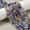 Natural Fluorite Beads Strands G-H320-A01-1
