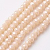 Electroplate Glass Beads Strands EGLA-F124-FR-A02-1