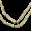 Natural White Shell Beads Strands X-SSHEL-D614C-1