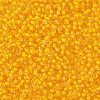 TOHO Round Seed Beads X-SEED-TR11-0974-2