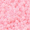 Glass Seed Beads SEED-H002-H-1305-3