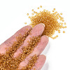 8/0 Glass Seed Beads X-SEED-A004-3mm-2-4